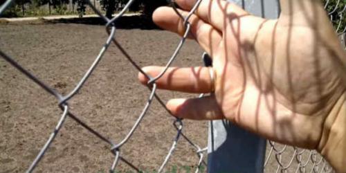 Сетка рабица размеры высота. Основные размеры сетки-рабицы для забора и рекомендации по выбору