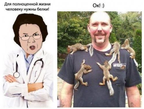 Продукты растительные с высоким содержанием белка. ТОП-20 продуктов с самым высоким содержанием белка 07 Продукты растительные с высоким содержанием белка. ТОП-20 продуктов с самым высоким содержанием белка 07