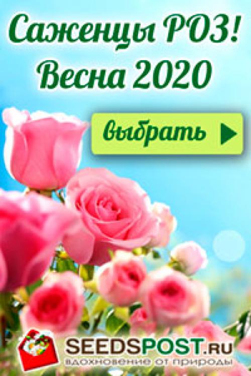 Новогодние украшения своими руками —, что вы об этом думаете?