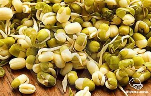 Продукты растительные с высоким содержанием белка. ТОП-20 продуктов с самым высоким содержанием белка 09 Продукты растительные с высоким содержанием белка. ТОП-20 продуктов с самым высоким содержанием белка 09