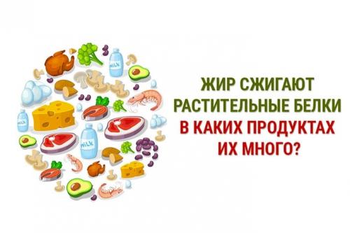Продукты растительные с высоким содержанием белка. ТОП-20 продуктов с самым высоким содержанием белка 06 Продукты растительные с высоким содержанием белка. ТОП-20 продуктов с самым высоким содержанием белка 06