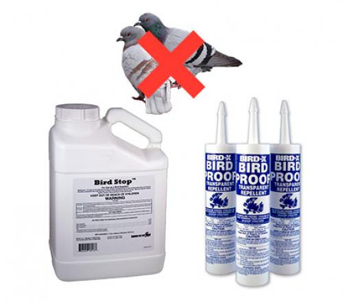 Чем обработать балкон после голубей. Как избавиться от голубей на балконе, карнизе и в саду