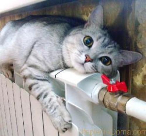 Что делать если батареи холодные. Воздушная пробка, что делать 07