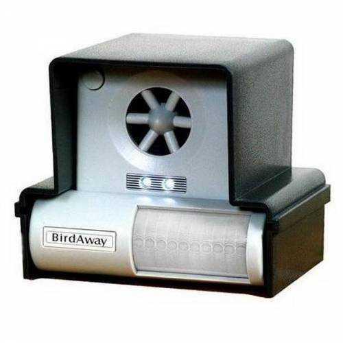 Как отогнать голубей от балкона. Как прогнать голубей: современные отпугиватели 10