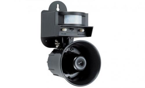 Как отогнать голубей от балкона. Как прогнать голубей: современные отпугиватели