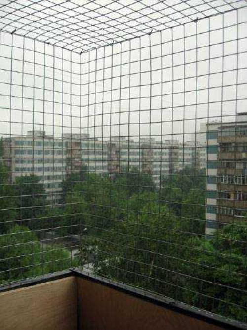 Как отогнать голубей от балкона. Как прогнать голубей: современные отпугиватели 13