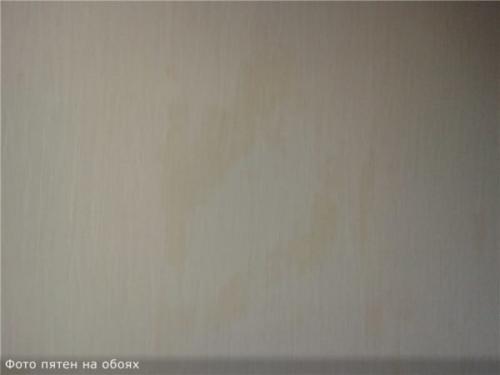 Флизелин на ОСБ. Подходит ли ОСБ для облицовки обоями