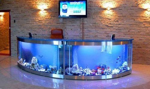 Как убрать царапины со стекла аквариума. Аквариум из оргстекла: необходимая полировка и уход