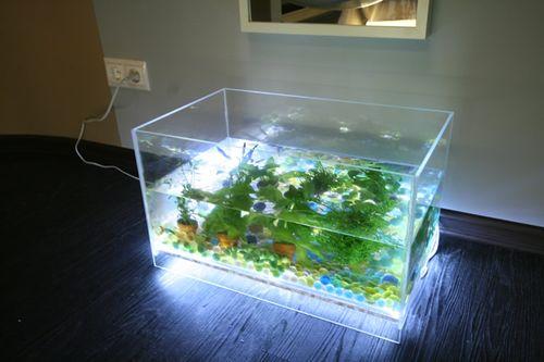 Как убрать царапины со стекла аквариума. Аквариум из оргстекла: необходимая полировка и уход