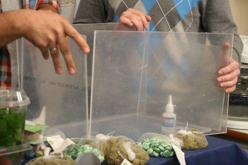 Как убрать царапины со стекла аквариума. Аквариум из оргстекла: необходимая полировка и уход