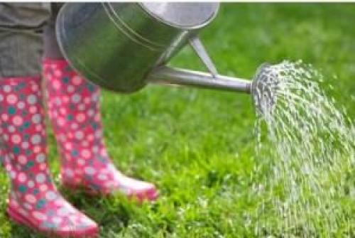 Стрижка газона в жару. Лето