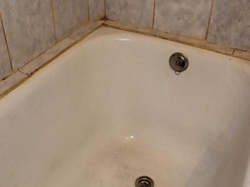 Как отмыть известковый налет в ванной. Налет в ванной: как просто и быстро удалить налет своими руками. Советы по выбору средств для уходу за кафелем и ванной