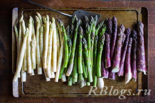 С чем едят спаржу. Что такое спаржа?