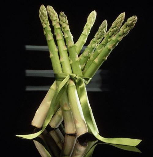 Зелёная спаржа, как готовить. Как приготовить зеленую спаржу