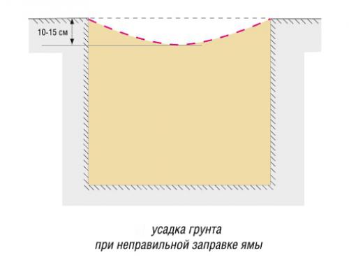 Как правильно посадить привитое дерево. Посадка яблони: как правильно
