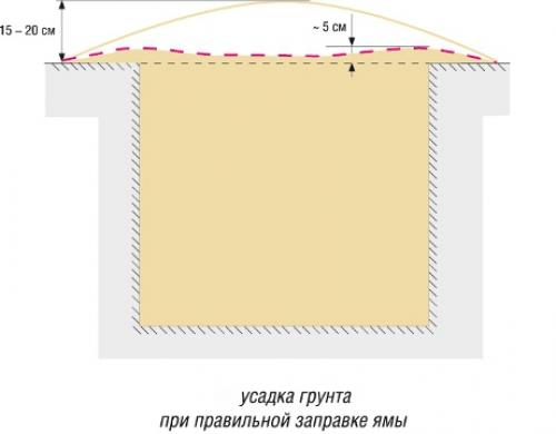 Как правильно посадить привитое дерево. Посадка яблони: как правильно