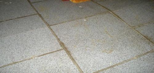 Как положить плитку на деревянный пол в коридоре. Сложности при укладке плитки