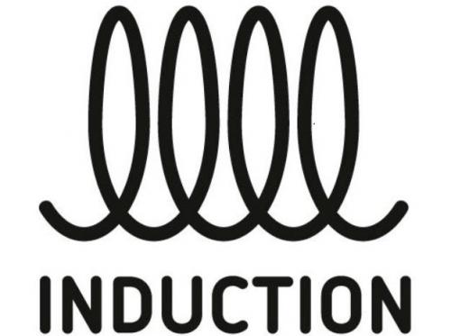 Посуда для индукционной плиты. Какая посуда подходит для индукционной плиты и как ее выбрать