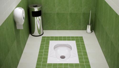 Современная сантехника для туалета. Как правильно выбрать унитаз среди изобилия моделей?