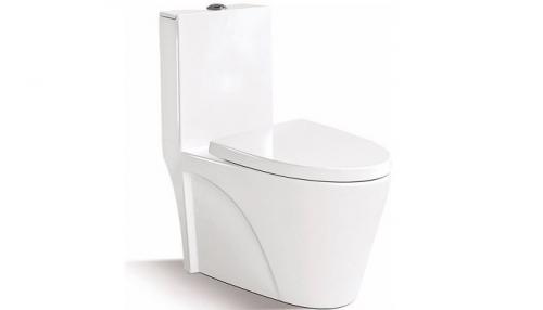 Современная сантехника для туалета. Как правильно выбрать унитаз среди изобилия моделей?