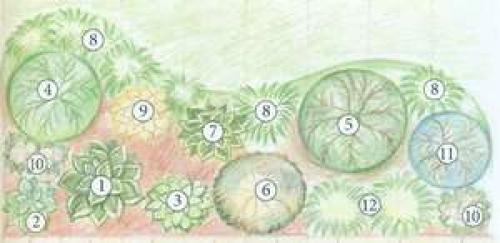 Клумба на даче своими руками для начинающих из многолетников. Принципы формирования цветника 14 Клумба на даче своими руками для начинающих из многолетников. Принципы формирования цветника 14