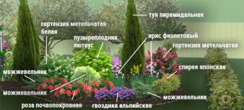 Сад непрерывного цветения многолетников схема посадки. Подбор растений Для клумбы непрерывного цветения можно использовать, как многолетние, так и однолетние, и двулетние растения. Причем рациональнее всего оказывается 06