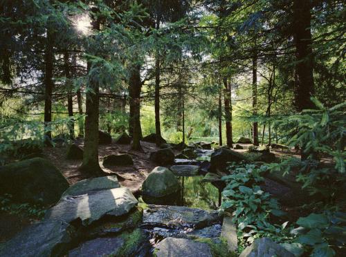 Сад непрерывного цветения в ботаническом саду москвы. Ботанический сад — крупнейшая парковая зона Останкинского района. Сотни редких растений, живописные аллеи дендрария, цветущая сакура в Японском саду — ради этого сюда ежегодно приходят около полумиллиона человек.