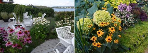 Долгоцветущие многолетники. Многолетние цветы для дачи