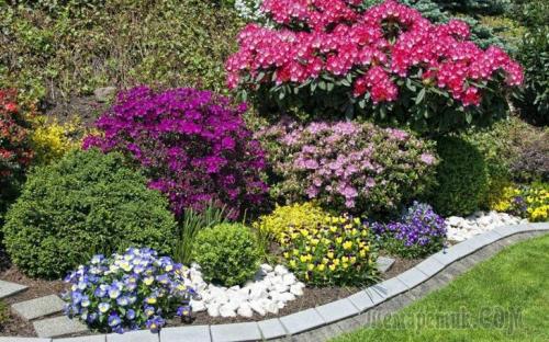 Сад непрерывного цветения многолетников схема посадки. Подбор растений Для клумбы непрерывного цветения можно использовать, как многолетние, так и однолетние, и двулетние растения. Причем рациональнее всего оказывается 02