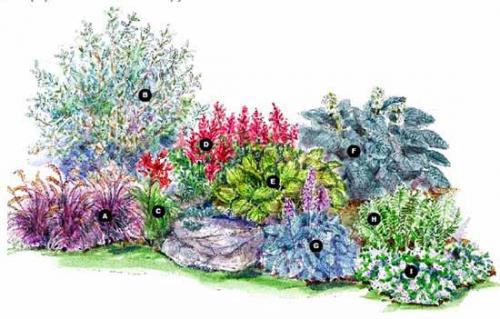 Готовые схемы и проекты клумб. Как сделать красивую клумбу: 15 схем для цветника