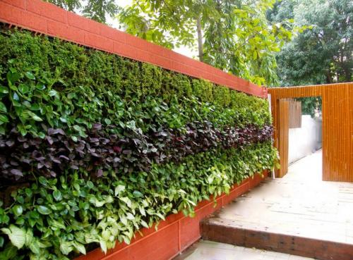 Дизайн маленького участка перед домом. Идеи и варианты ландшафтного дизайна на маленьком участке перед домом