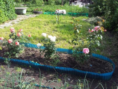 Оформление клумб своими руками из пластиковых бутылок. Клумба из бутылок — мастер-класс изготовления оригинальных клумб. 120 фото оформления клумбы при помощи пластика