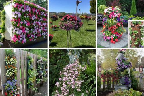 Дачи дизайн маленького участка. Идеи и варианты ландшафтного дизайна на маленьком участке перед домом