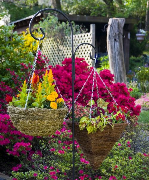 Дизайн маленького участка перед домом. Идеи и варианты ландшафтного дизайна на маленьком участке перед домом 06 Дизайн маленького участка перед домом. Идеи и варианты ландшафтного дизайна на маленьком участке перед домом 06