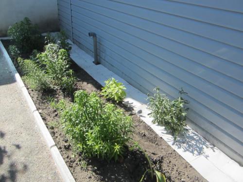 Красивая отмостка вокруг дома своими руками с орнаментом. Отмостка дома своими руками —, как сделать защита фундамента? Пошаговая инструкция (71 фото)