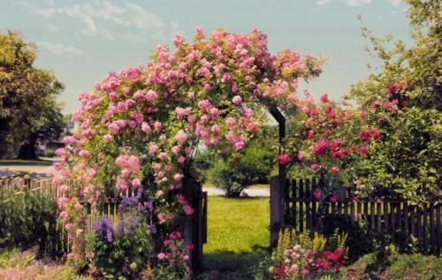 Дачи дизайн маленького участка. Идеи и варианты ландшафтного дизайна на маленьком участке перед домом