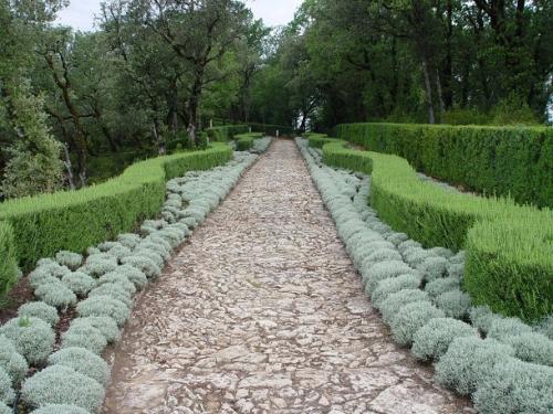 Серебристая трава для клумб. Серебряный сад: выбираем растения