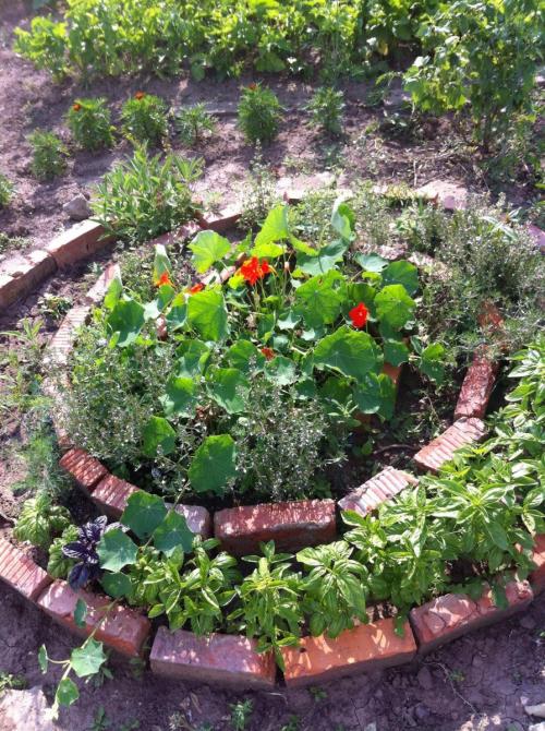 Клумба из силикатного кирпича. Клумбы из кирпича —, как красиво сложить своими руками? 115 фото и советы дизайнеров