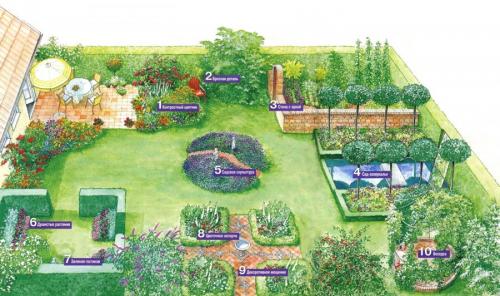 Зонирование участка туями. Зонирование участка: разработка плана, зонирование перепадом высоты и цветом. 140 фото-идей