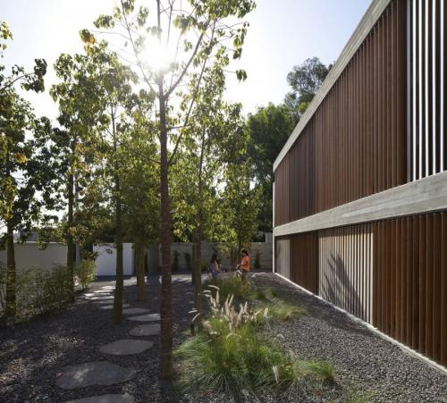 Озеленение двора частного дома хвойными. Основные моменты работы