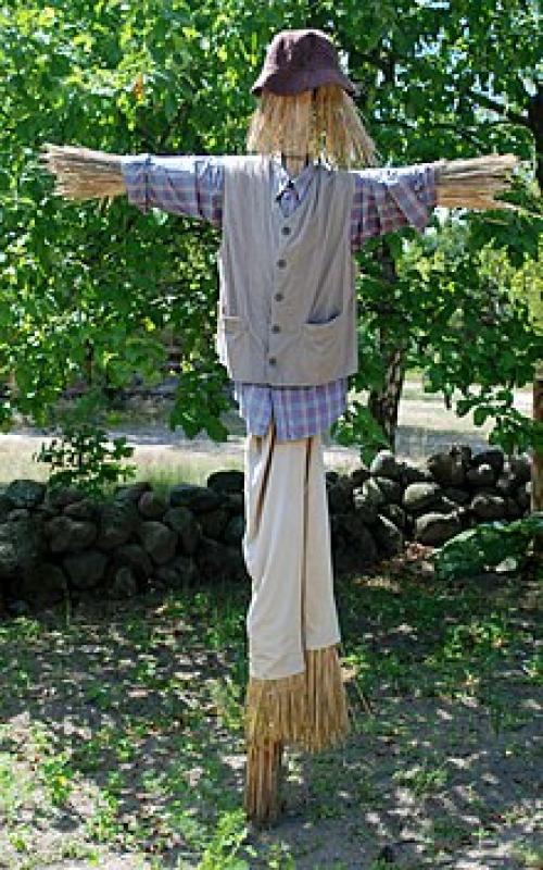 Картинки огородное пугало для детей. Огородное пугало Секрет эффективного пугала 10