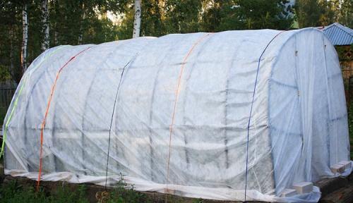 Теплица из профильной трубы 20х20. Каким материалом обшить парник из профильной трубы своими руками: фото и особенности возможных вариантов