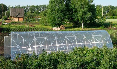 Теплица из профильной трубы 20х20. Каким материалом обшить парник из профильной трубы своими руками: фото и особенности возможных вариантов