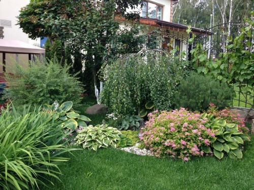 Озеленение участка – идеи по обустройству территории и варианты современного ландшафтного дизайна