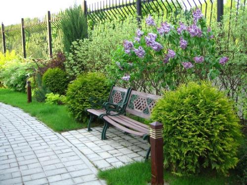 Озеленение участка – идеи по обустройству территории и варианты современного ландшафтного дизайна