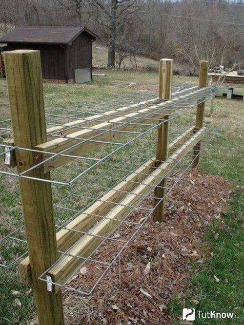 Благоустройство территории 6 соток. Участок 6 соток: примеры планировки и варианты обустройства участка в 6 соток (125 фото) 28 Благоустройство территории 6 соток. Участок 6 соток: примеры планировки и варианты обустройства участка в 6 соток (125 фото) 28