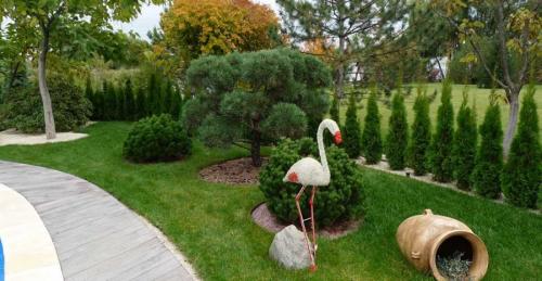 Озеленение участка – идеи по обустройству территории и варианты современного ландшафтного дизайна