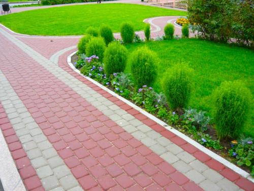 Озеленение участка – идеи по обустройству территории и варианты современного ландшафтного дизайна