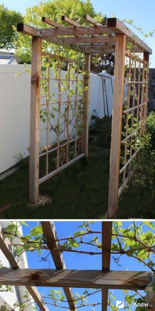 Благоустройство территории 6 соток. Участок 6 соток: примеры планировки и варианты обустройства участка в 6 соток (125 фото) 38 Благоустройство территории 6 соток. Участок 6 соток: примеры планировки и варианты обустройства участка в 6 соток (125 фото) 38