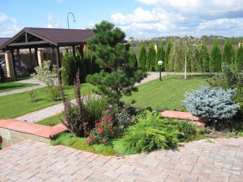 Озеленение участка – идеи по обустройству территории и варианты современного ландшафтного дизайна